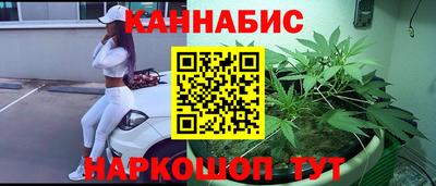 spice Новодвинск