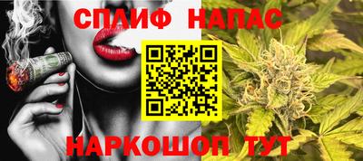 сатива Новокубанск