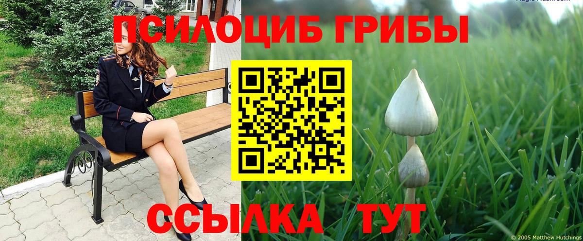 Урюпинск  Псилоцибиновые грибы Cubensis  купить   Вход с VPN 