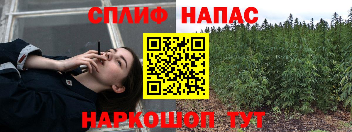 Конопля гибрид  Бошки Шишки марихуана  Урюпинск  Бошки Шишки марихуана  Вход с VPN 